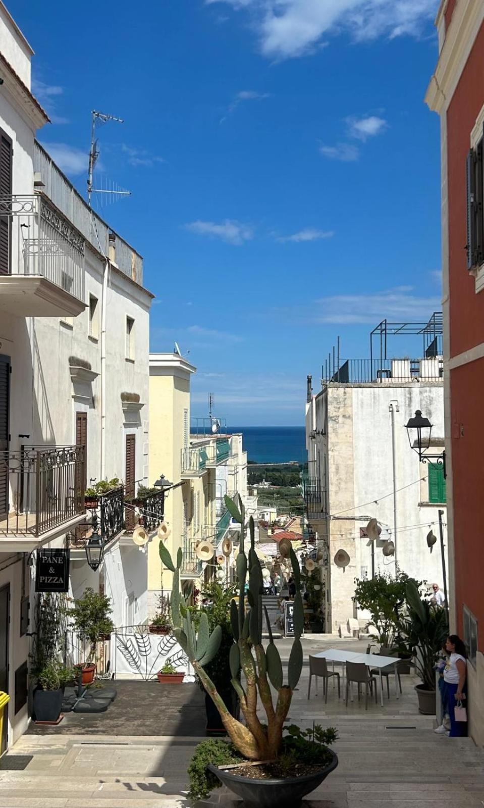 B&B Tor Di Lupo 马蒂纳塔 外观 照片